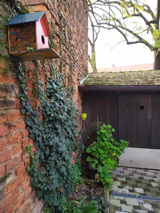 Tiny Cozy Accommodation 萨格勒布 外观 照片