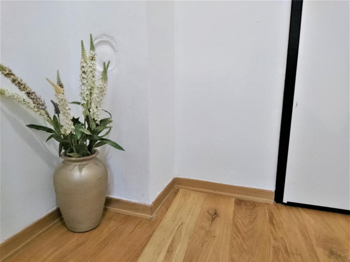 Tiny Cozy Accommodation 萨格勒布 外观 照片