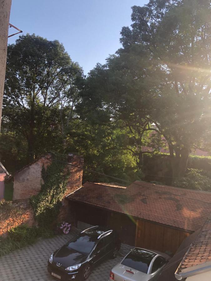 Tiny Cozy Accommodation 萨格勒布 外观 照片